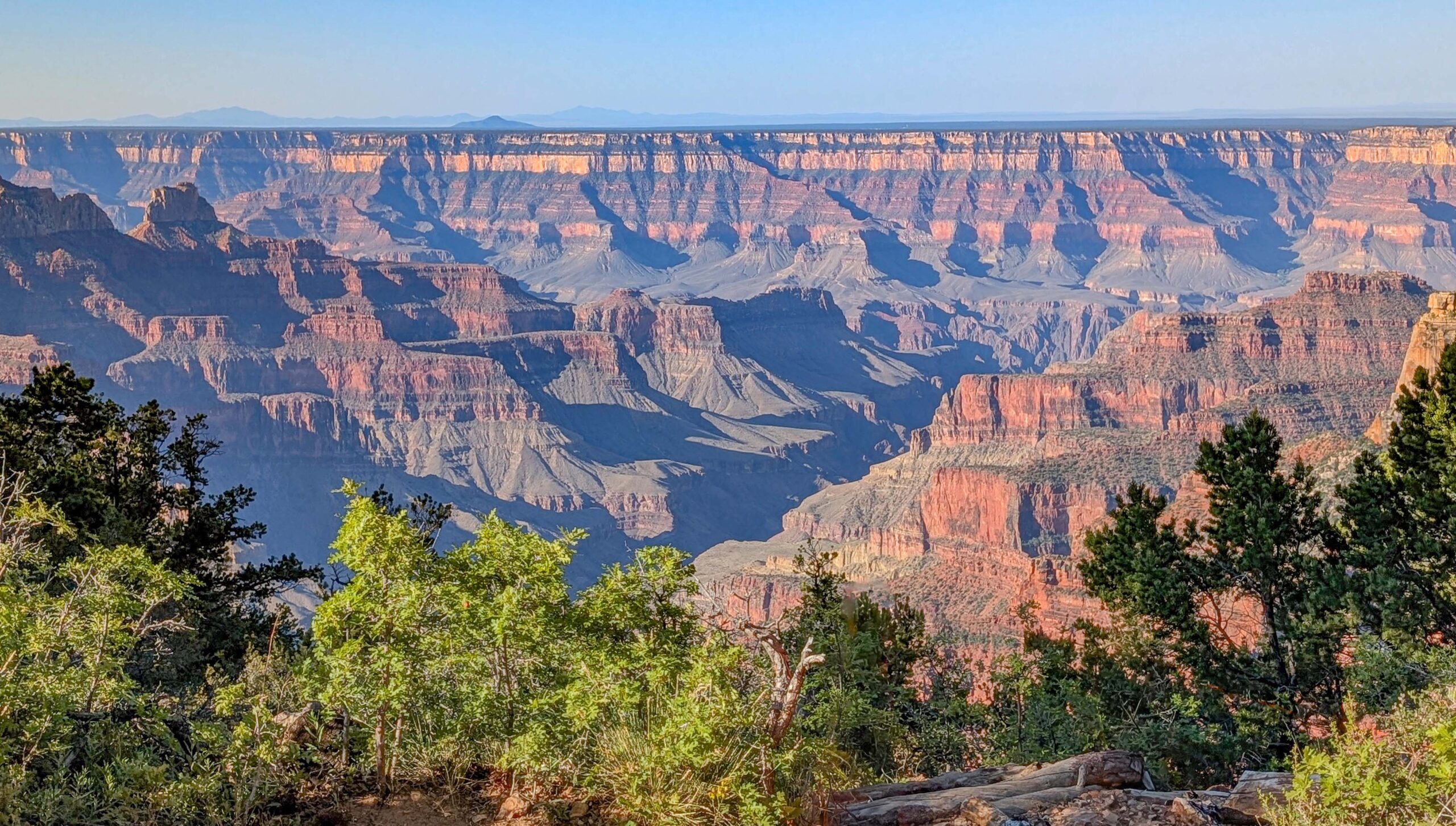 Looking over the Grand Canyon from the Northern Rim. 